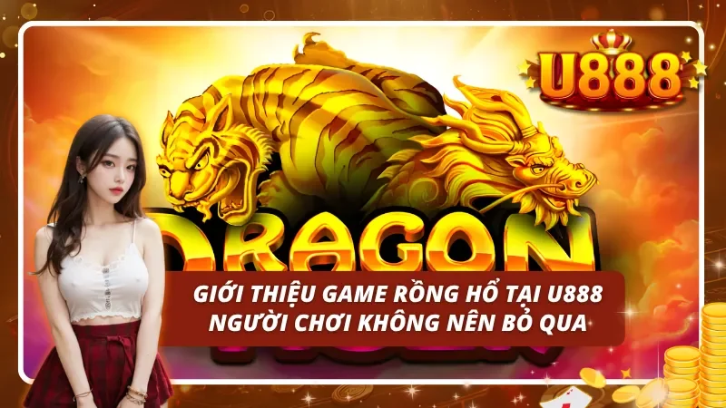 Thông tin tổng quan về rồng hổ u888 và lý do nên thử ngay