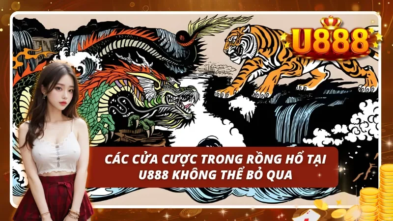 Những lựa chọn đặt cược phổ biến người chơi cần nắm được